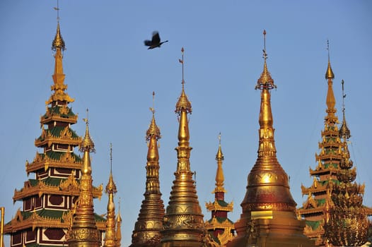 Schwedagon Paya,Yangon,Burma