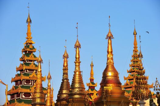 Shwedagon golden pagoda at twilight, Yangon,Myanmar