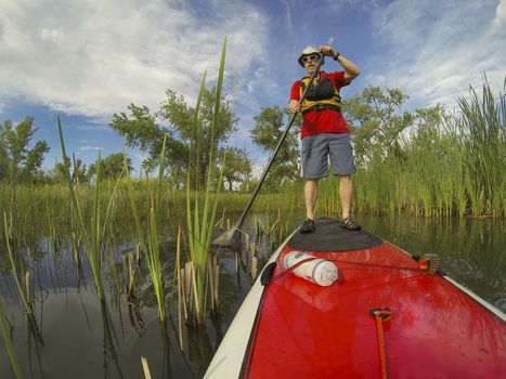 senior male paddler enjoying workout on stand up paddleboard (SUP), calm lake in Colorado, spring colors