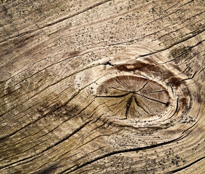 texture or background old coating on a wooden board