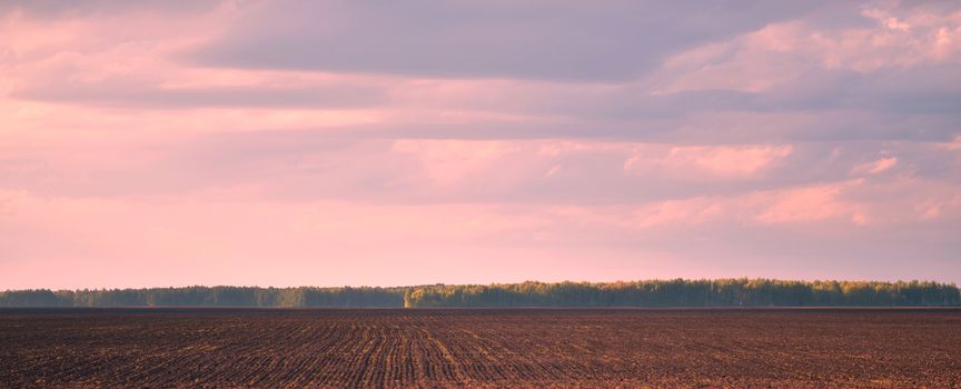 Brown agriculture field and blue sky with clouds