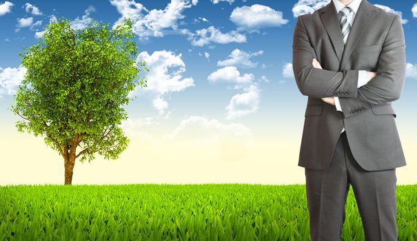 Businessman in suit. Tree and green landscape as backdrop