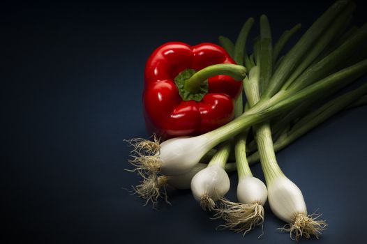 Fresh whole red bell pepper with spring onions or scallions viewed from above on a dark background for healthy vegetarian or vegan cuisine or for use in fresh salads and cooking