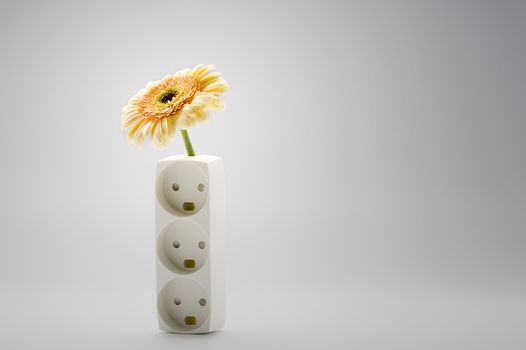 Single ornamental yellow Gerbera daisy, otherwise called a Barberton Daisy or African Daisy, in a decorated vase with a circular pattern against a grey studio background with copyspace