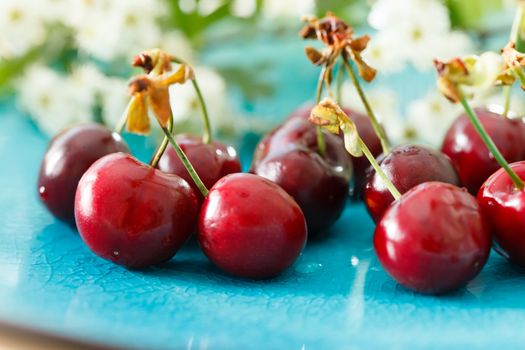 fresh cherries