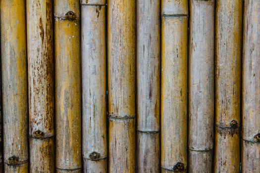 bamboo fence closeup background pattern