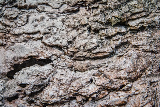 texture of old stone wall