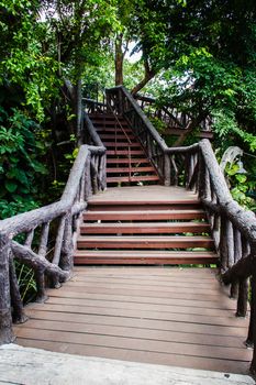 overpass in garden ,in zoo