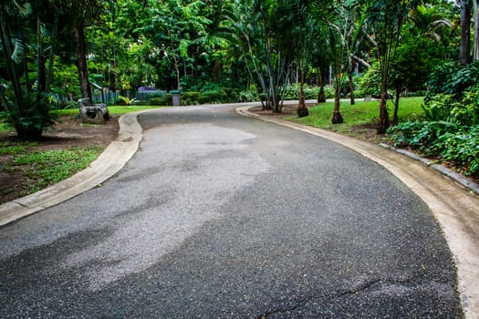 garden walkway in the zoo