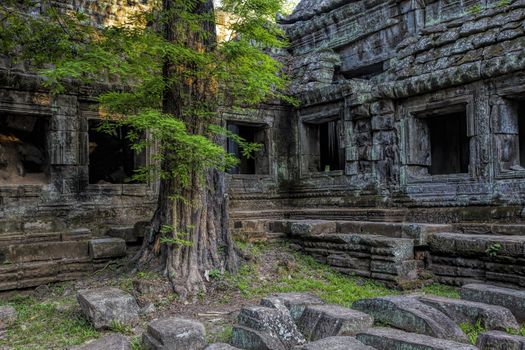 Sunrise over the Ta Phrom temple in Angkor, Cambodia