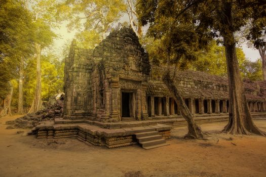 Sunrise over the Ta Phrom temple in Angkor, Cambodia