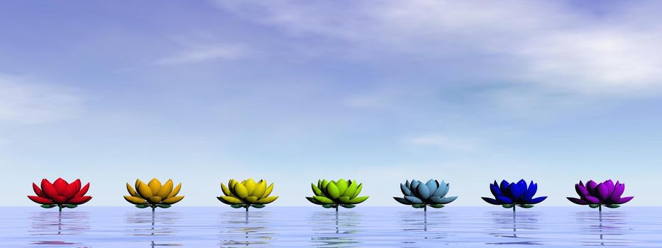 Lily flowers with chakra colors upon water by day sky