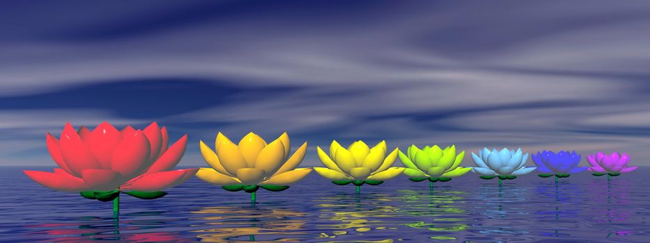 Lily flowers with chakra colors upon water by night