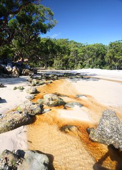 Telegraph Creek flowing out from the bush twards the ocean, Jervis Bay territory Australia