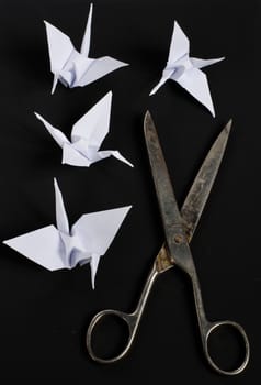 old scissors
