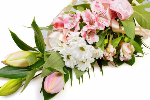 bouquet of pink lily flower on white background