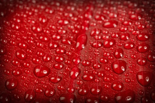 macro water drops on red tonefor abstractbackground, wallpaper or backdrop use with vignete
