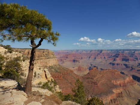 A stunning image of the Grand Canyon taken from the South rim.