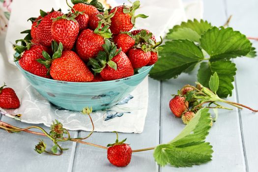 Fresh ripe strawberries in a beautiful blue bowl with selective focus and extreme shallow depth of field.