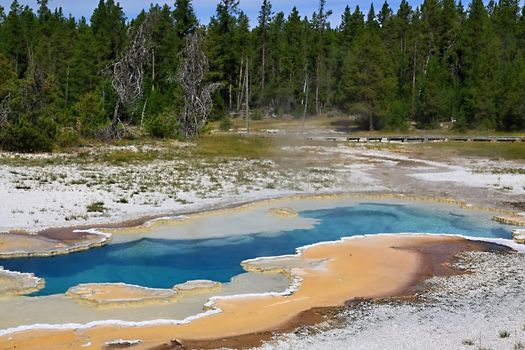 Doublet Pool