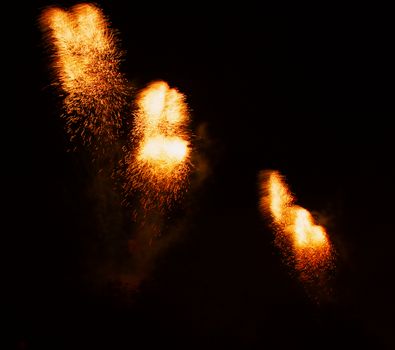 Fireworks exploding in the dark night sky