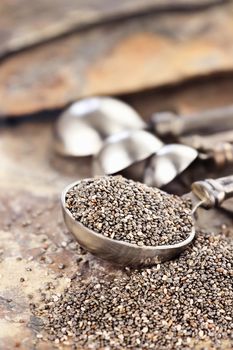 Tablespoon of healthy chia seeds with selective focus and extreme shallow depth of field.