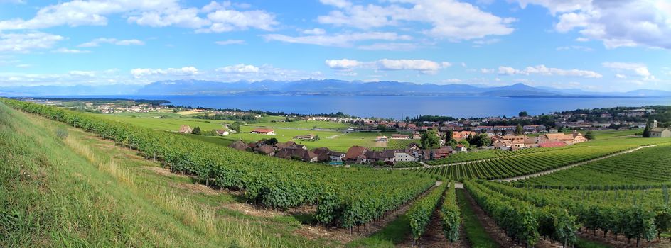 View of Alps mountain and Geneva lake from "La Côte" by beautiful summer day, Switzerland