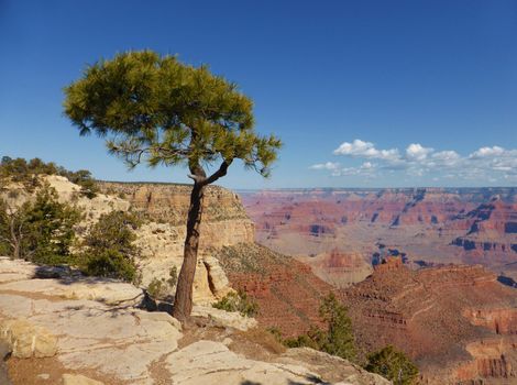 A stunning image of the Grand Canyon taken from the South rim.
