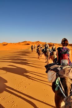 MERZOUGA DESERT - OCTOBER 01: Tourists in a Camel caravan in Merzouga Desert, Morocco on October 01, 2013.