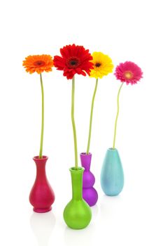 Four Gerber flowers in colorful vases over white background