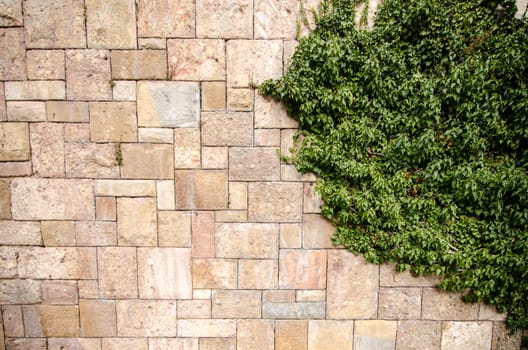 Abstract background with old brick wall. Vintage Photos