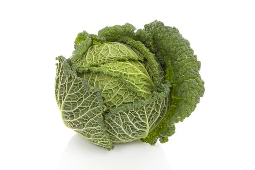 fresh green cabbage over white background