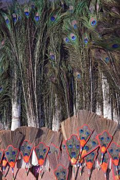 Peacock feathers in shop, nepal