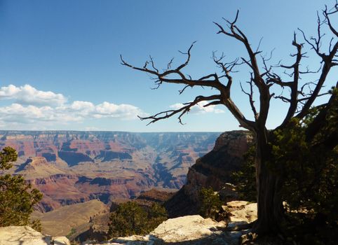 A stunning image of the Grand Canyon taken from South rim.