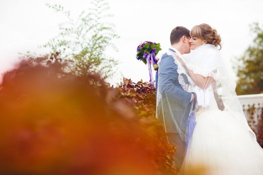 tenderness of the bride and groom 