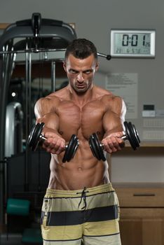 Young Man Working Out Chest - Dumbbell Concentration Curls