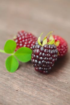 three juicy blackberries on a wooden surface