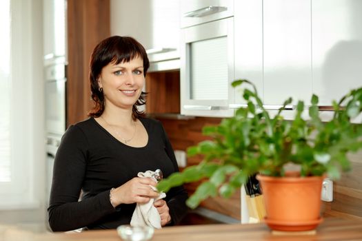 happy smiling middle-aged woman wipes the dishes in the kitchen