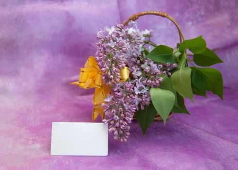 Beautiful branches of flowers in a basket on a purple background