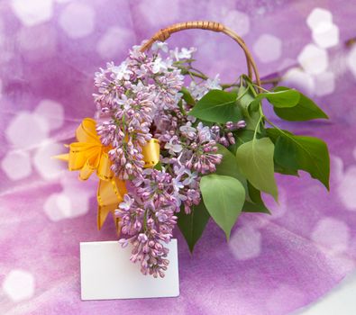 Beautiful branches of flowers in a basket on a purple background