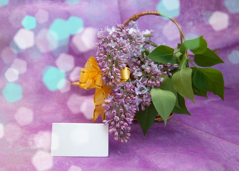 Beautiful branches of flowers in a basket on a purple background