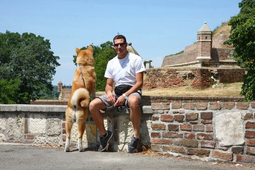  Japanese eight-month dog Akita Inu  at Belgrade fortress Kalemegdan,Serbia