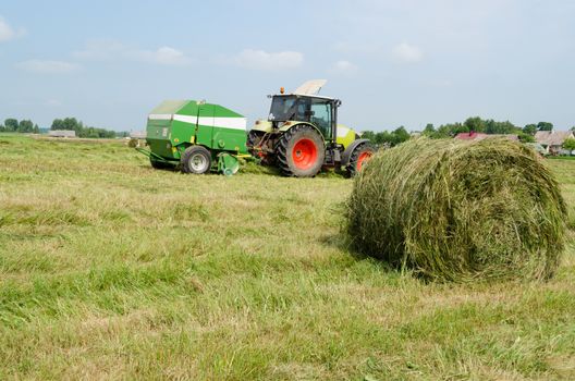 tractor bailer collect hay in field. Agricultural machine making hay bales. Seasonal rural works.