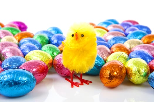 chicken and colorful easter eggs in closeup over white background