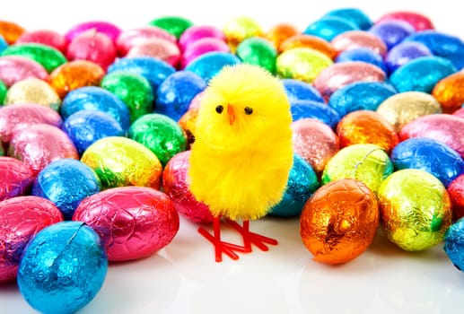 chicken and colorful easter eggs in closeup over white background