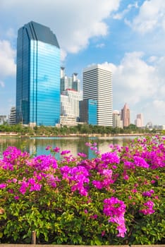 Modern city skyline of business district downtown with pink flowers in front in day under blue sky