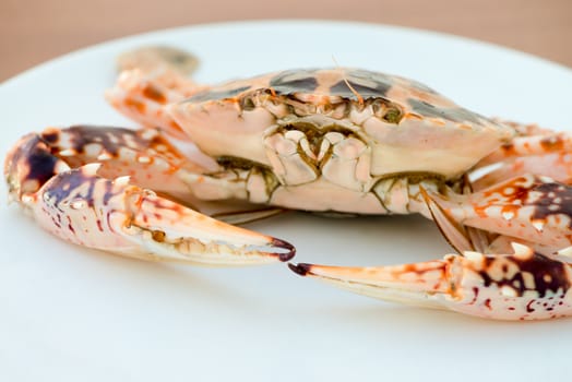 Big crab with claws on white plate