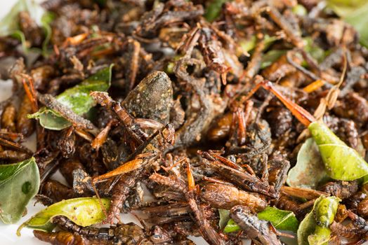 Fried edible insects mix with green lime leaves.  Fried insects are regional delicacies food in Thailand 