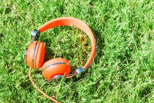 Bright orange colorful wired headphones on fresh green sward lawn