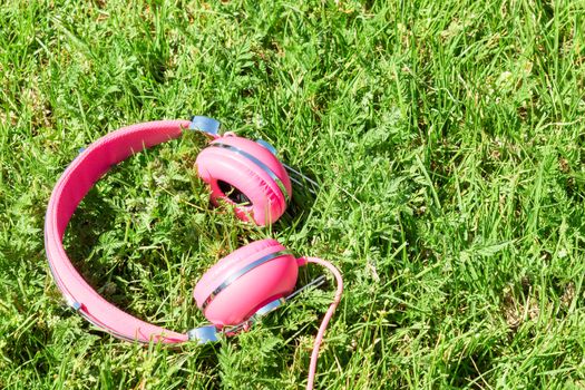 Vivid colorful pink headphones on fresh summer green glade